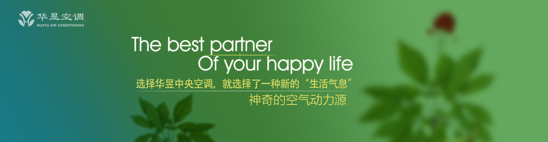 半青半黄网